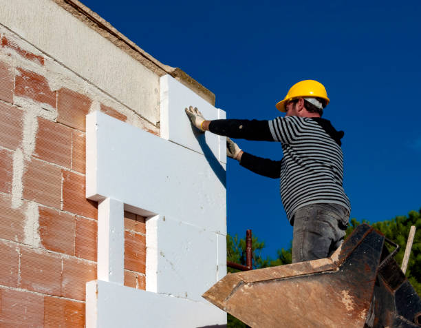 Best Eco-Friendly Insulation in Paris, KY