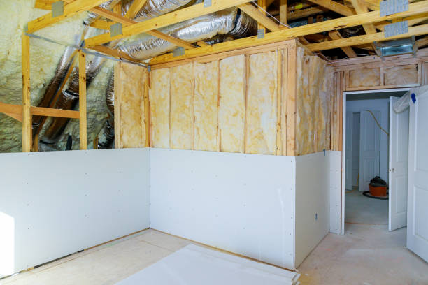 Best DIY Insulation Kits and Guidance in Paris, KY