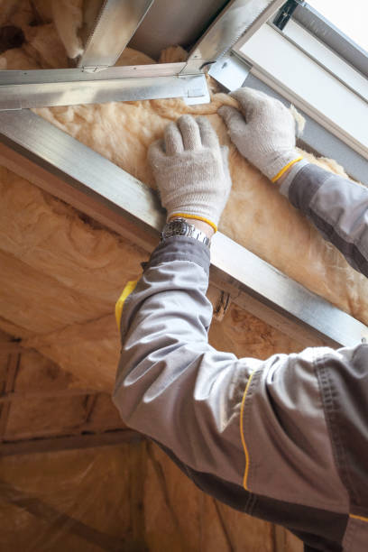 Types of Insulation We Offer in Paris, KY