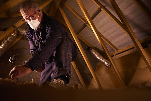 Best Blown-in Insulation in Paris, KY
